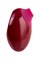 Вакуумный стимулятор клитора TOYFA A-Toys Myrty, бордовый, 9,8 см 761060