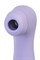 Вакуумный стимулятор клитора Satisfyer Pro 2 Generation 3, Bluetooth/App, фиолетовый J2018-2-9-3