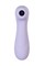 Вакуумный стимулятор клитора Satisfyer Pro 2 Generation 3, фиолетовый J2018-2-9A-3