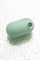 Вакуумный стимулятор клитора Satisfyer Pro To Go 2, мятный J2018-308-1