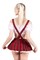 Верхняя часть костюма «Американская школьница», Pecado BDSM, топ, галстук, бело-красный, 42 11032-02